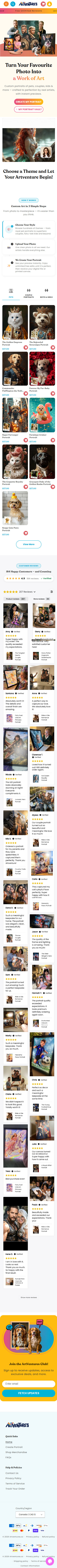 Website 2 mobile preview